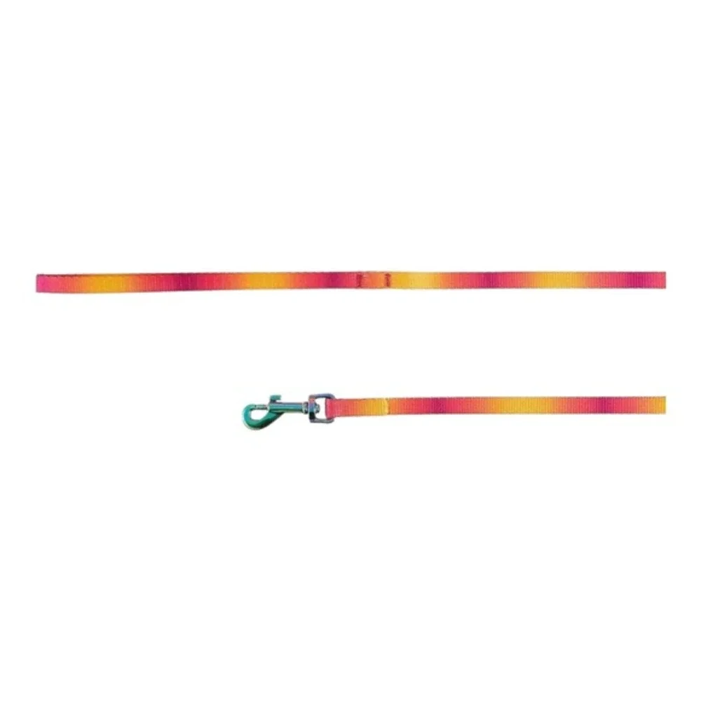 Whisker City Cat Leash 6 Ft Rainbow Gradient‎ Durable Nylon Walking Lead (NWT)